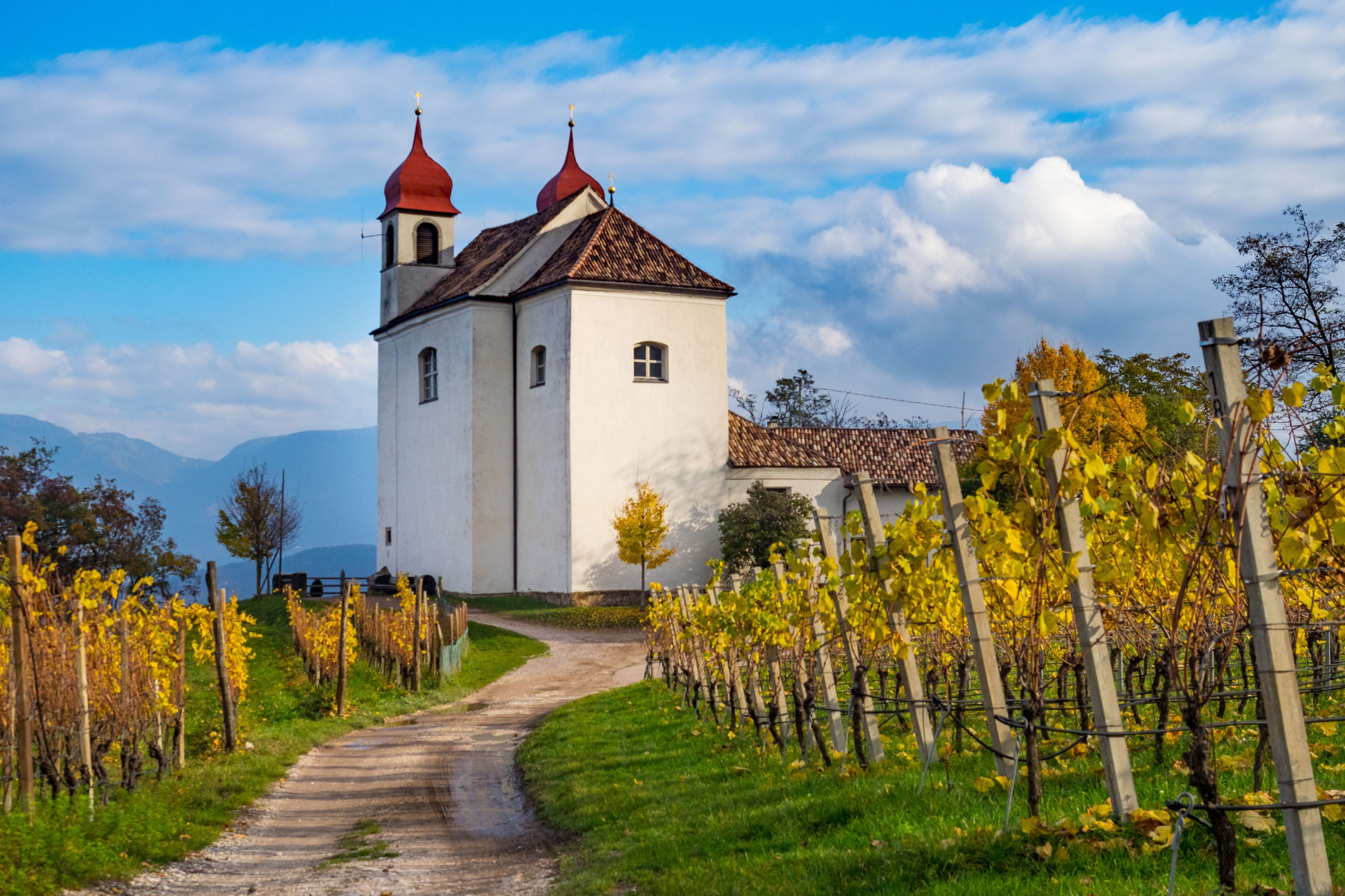Die Gleifkirche in St. Michael Eppan zwischen den Weinbergen